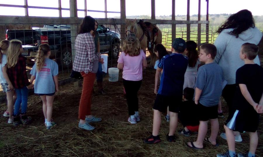 Group of 2nd graders around a horse at the Ag Day 22